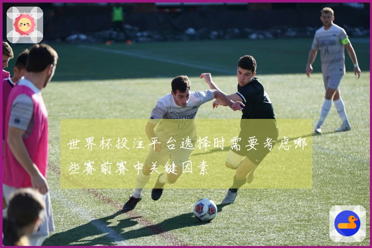 世界杯投注平台选择时需要考虑哪些赛前赛中关键因素