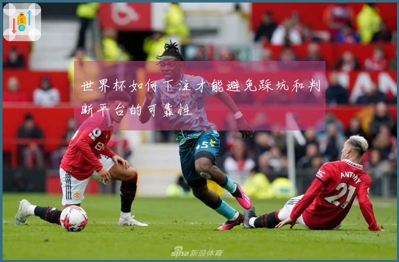 世界杯如何下注才能避免踩坑和判断平台的可靠性