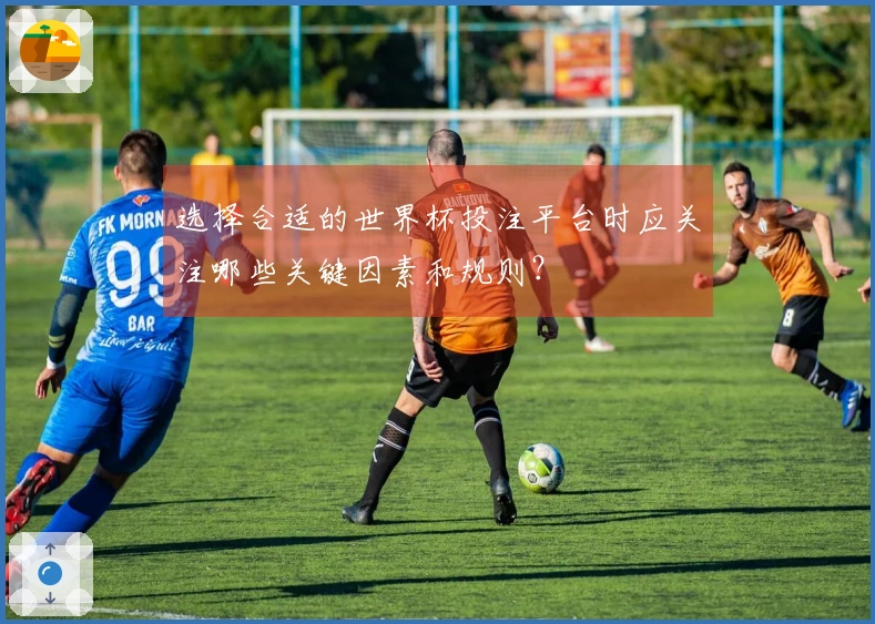 选择合适的世界杯投注平台时应关注哪些关键因素和规则？