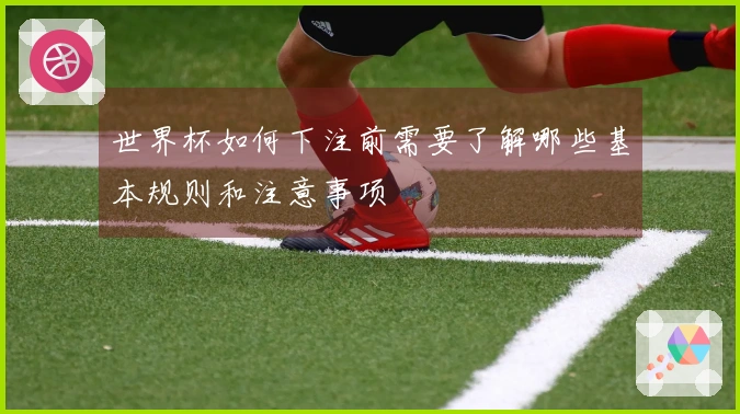 世界杯如何下注前需要了解哪些基本规则和注意事项