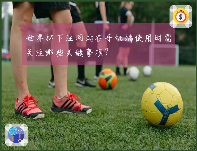 世界杯下注网站在手机端使用时需关注哪些关键事项？