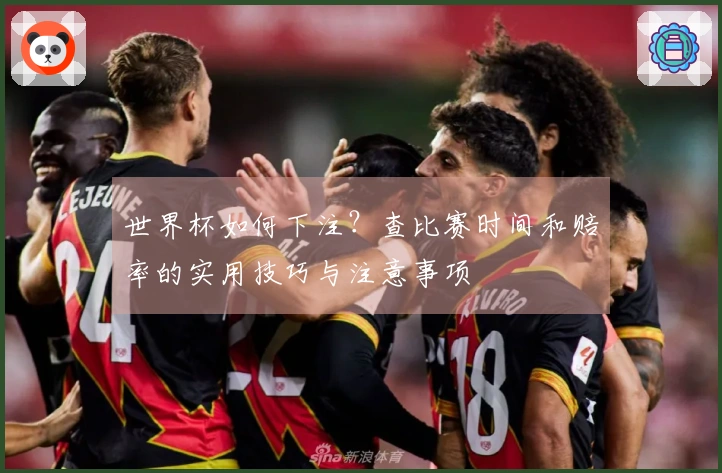 世界杯如何下注？查比赛时间和赔率的实用技巧与注意事项