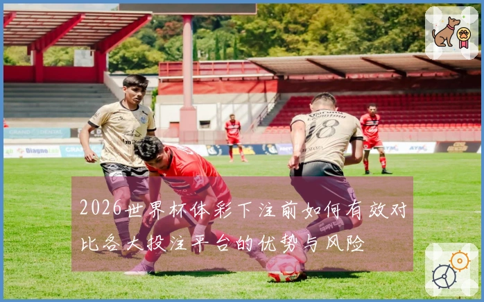2026世界杯体彩下注前如何有效对比各大投注平台的优势与风险