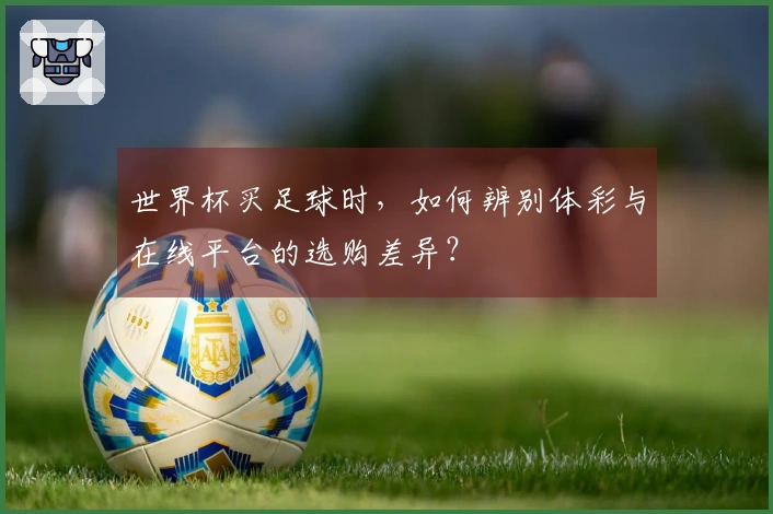 世界杯买足球时，如何辨别体彩与在线平台的选购差异？