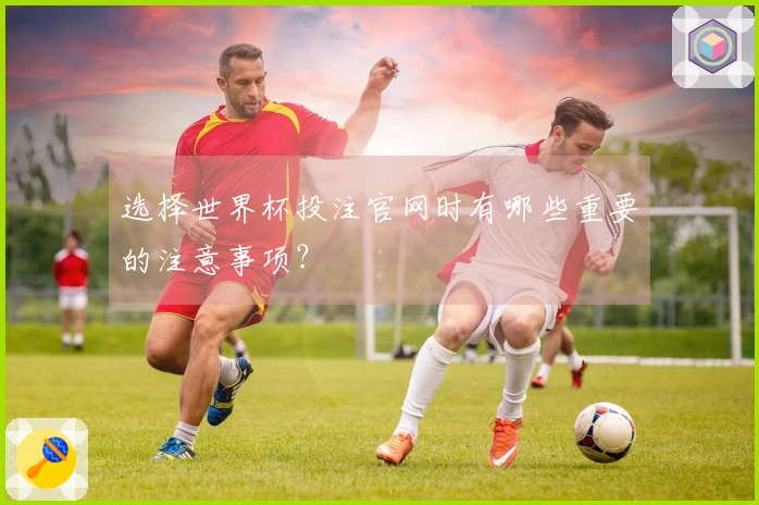 选择世界杯投注官网时有哪些重要的注意事项？