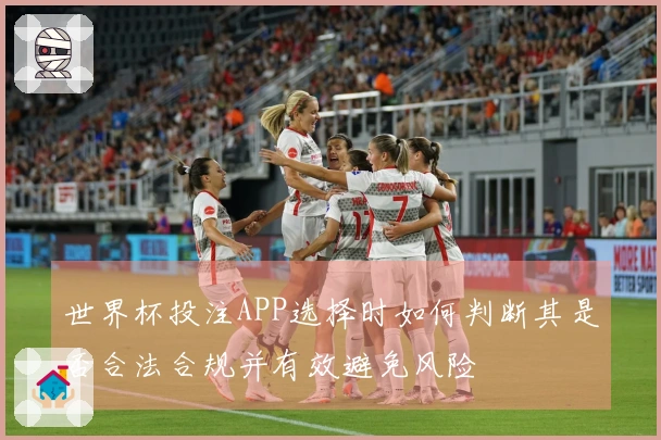 世界杯投注APP选择时如何判断其是否合法合规并有效避免风险