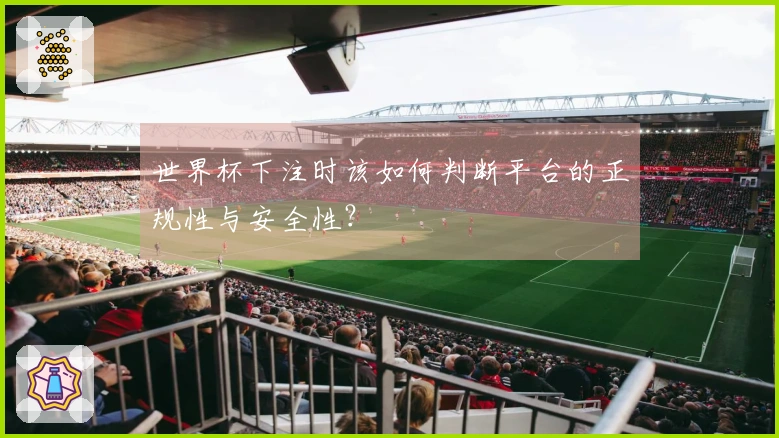 世界杯下注时该如何判断平台的正规性与安全性？