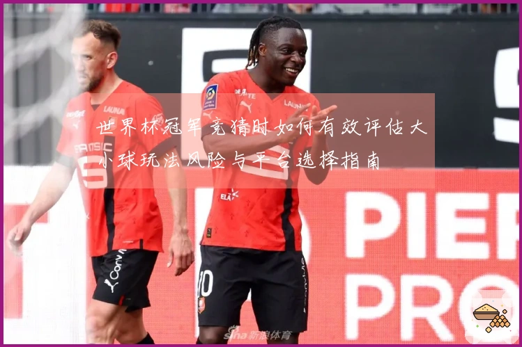 世界杯冠军竞猜时如何有效评估大小球玩法风险与平台选择指南