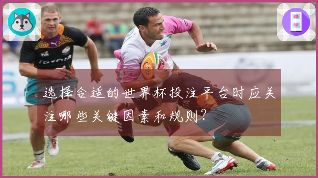 选择合适的世界杯投注平台时应关注哪些关键因素和规则？