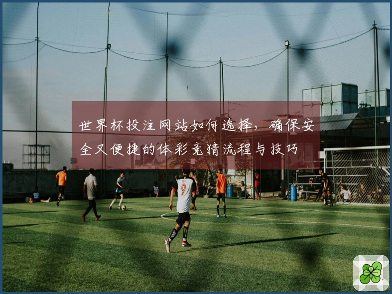 世界杯投注网站如何选择，确保安全又便捷的体彩竞猜流程与技巧