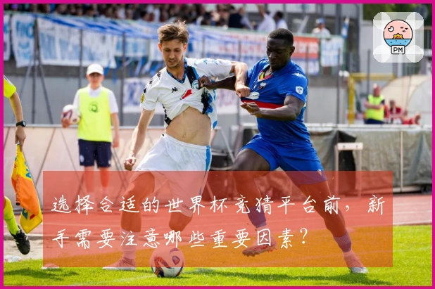 选择合适的世界杯竞猜平台前，新手需要注意哪些重要因素？