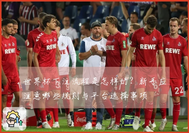 世界杯下注流程是怎样的？新手应注意哪些规则与平台选择事项