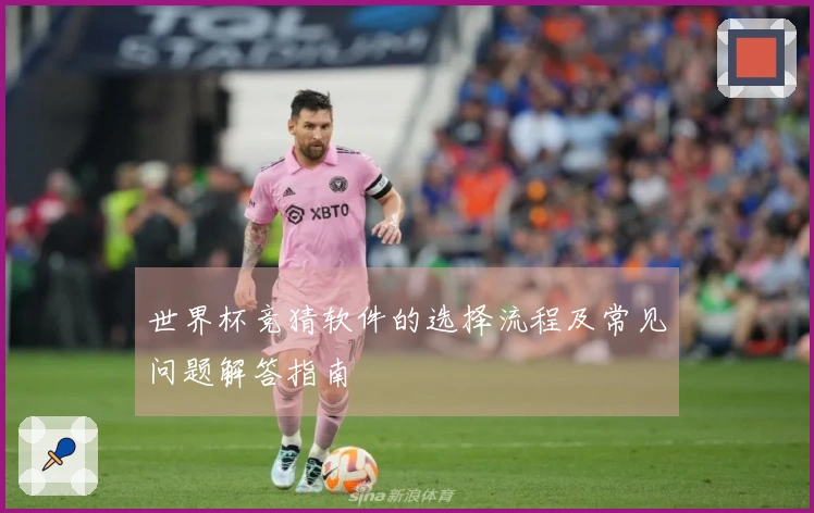 世界杯竞猜软件的选择流程及常见问题解答指南