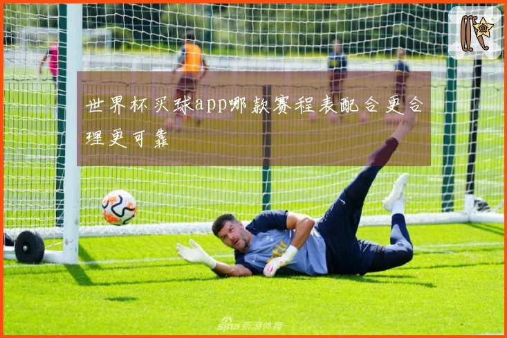 世界杯买球app哪款赛程表配合更合理更可靠