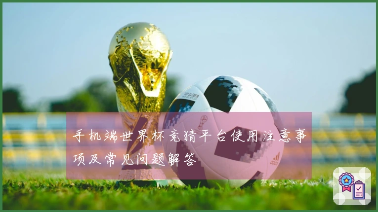手机端世界杯竞猜平台使用注意事项及常见问题解答