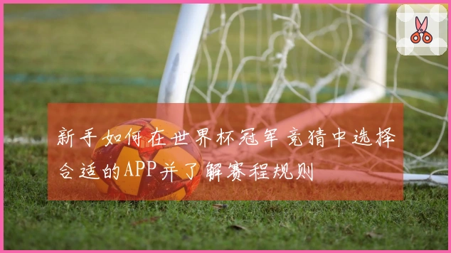 新手如何在世界杯冠军竞猜中选择合适的APP并了解赛程规则