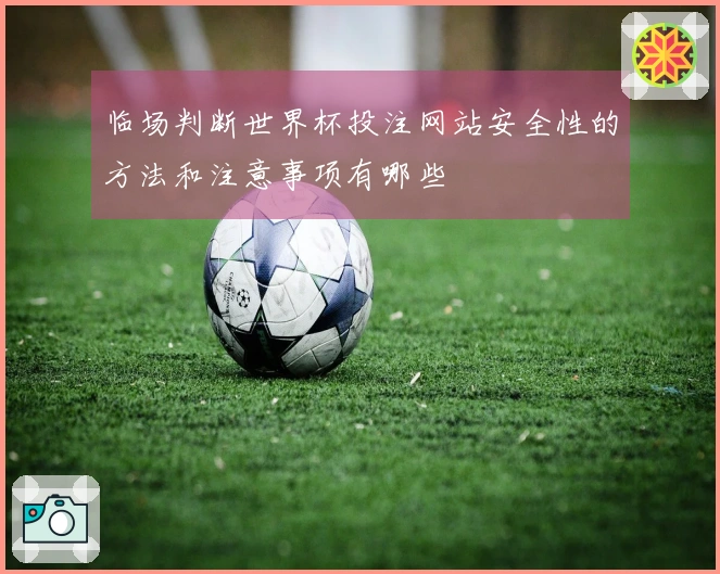 临场判断世界杯投注网站安全性的方法和注意事项有哪些