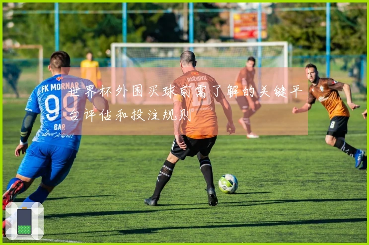世界杯外围买球前需了解的关键平台评估和投注规则