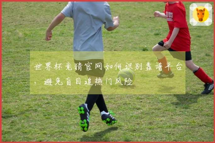 世界杯竞猜官网如何识别靠谱平台，避免盲目追热门风险