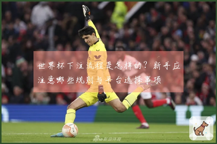 世界杯下注流程是怎样的？新手应注意哪些规则与平台选择事项