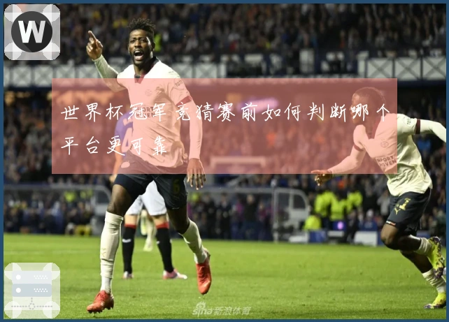 世界杯冠军竞猜赛前如何判断哪个平台更可靠