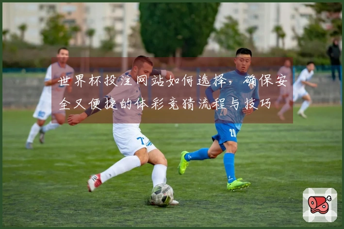 世界杯投注网站如何选择，确保安全又便捷的体彩竞猜流程与技巧