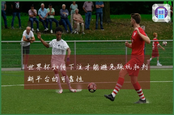 世界杯如何下注才能避免踩坑和判断平台的可靠性