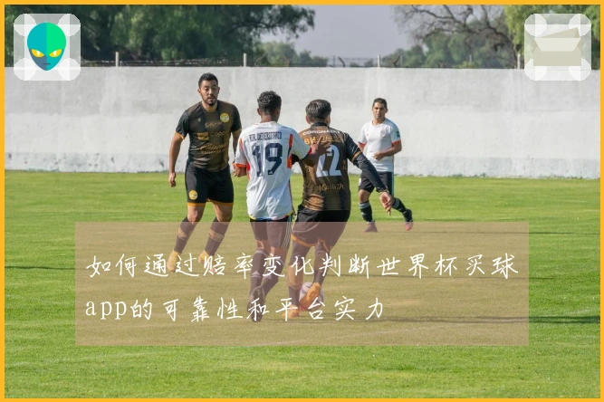 如何通过赔率变化判断世界杯买球app的可靠性和平台实力