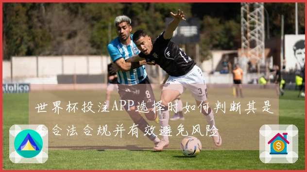 世界杯投注APP选择时如何判断其是否合法合规并有效避免风险